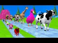 Download Lagu Long Slide Game With Cow Elephant Gorilla Hippopotamus Tiger 3d Animal Game Funny 3d Animals