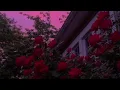 Tim McGraw - Just To See You Smile | 1 HOUR LOOP