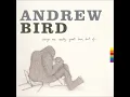 Andrew Bird - My sister's tiny hands