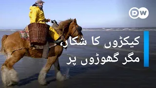 کیکڑوں کا شکارمگر گھوڑے پر بیٹھ کر DW Urdu  کیکڑوں کا شکارمگر گھوڑے پر بیٹھ کر DW Urdu