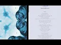 TAYLOR SWIFT OPALITE REMIX WITH LYRICS