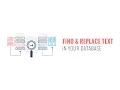How to Find and Replace Text with One Click in your WordPress Database