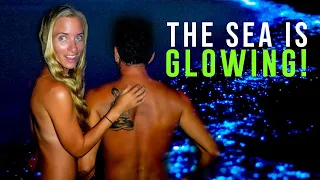 Skinny Dippin’ In Bioluminescent ALGAE 😱 (Strangest Experience Ever!) Sailing Vessel Delos Ep. 380