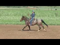 Ashley Schafer Four Corner Drill
