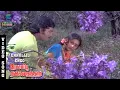 Download Lagu Ennullil Engo Video Song - Rosappu Ravikkaikari | Sivakumar |Deepa |Malaysia Vasudevan |Music Studio