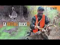 Georgia BUCK with a BOW Rut in Full SWING Realtree Road Trips