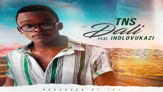 tns ft indlovukazi my dali prod by tns 