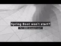 Spring Boot Application Failed to Start Port 8080 Already in Use Real Case Demo