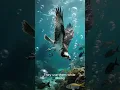 Download Lagu This Bird Has Built-In Goggles!