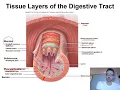 Lecture 21 Gastrointestinal Physiology