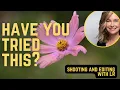 MACRO PHOTOGRAPHY FOCUS STACKING IN THE GARDEN SHOOTING AND EDITING WITH LIGHTROOM