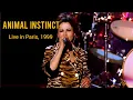 Download Lagu The Cranberries - Animal Instinct - Live in Paris, 1999