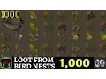 Loot From 1 000 Bird Nests - Old School Runescape
