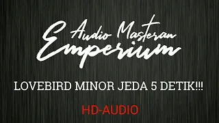 masteran suara lovebird minor jeda 5 detik