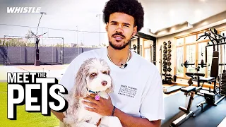 Brooklyn Nets Cam Johnson Pet Reveal Mansion Tour