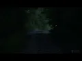 Fireflies & Crickets - Calming Nature Night Sounds & Sights for Sleep & Relaxation - 10 Hours