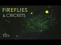 Download Lagu Fireflies \u0026 Crickets - Calming Nature Night Sounds \u0026 Sights for Sleep \u0026 Relaxation - 10 Hours