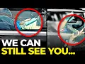 SURELY nobody will notice Drivers CAUGHT using mobile phones by Police HGV We noticed