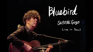 Download Bluebird (Live in Seoul) / Satoshi Gogo (Original composition, Solo guitar) MP3