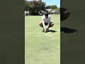 Technical Tuesday An Hour of Short Putting Practice with a Pro Golfer