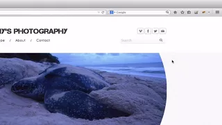 Selenium Python language - Locating Elements Using CSS Selector