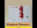 Lagu Explore Flowers | ThinkTac | #YouTubeShorts #DIY #Short #DIYscience