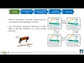 Extended Capture Point and Optimization-based Control for Quadrupedal Robot Walking on DRS