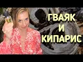 Download Lagu ШЛЕЙФОВЫЕ ДРЕВЕСНЫЕ АРОМАТЫ | КИПАРИС И ГУАЯК