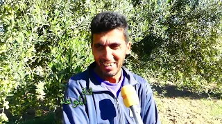 صابة زيت زيتونة في قبلاط و مجاز الباب أنا فلاح و الحمد الله العام هذا الزيت متوفر و الأسعار مناسبة 