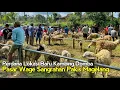 Download Lagu Harga Pasar Kambing Domba Indukan Anak, Pertama Buka Pindahan Lokasi Baru Sangrahan Pakis Magelang