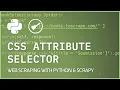 Scrapy CSS Selectors - Selecting elements by attribute value