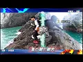 Download Lagu 【外島上礁】魚真の越釣越大  沒想到這裡正期 魚體都大的可怕  紀錄黑毛就是要來這裡