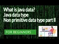 java data type and non primitive data type what is data part ll Hindi full explain about coding24