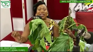 work of adedenkruma herbal medicine dr grace boadu