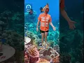 Download Lagu O trava línguas perfeito não exis..