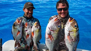 Will I regret this? MONSTER MACKEREL + MU (Sailing Popao) Ep.63