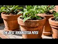 The Best Terracotta Pots SERP Reviews