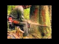 Download Lagu Coldcut \u0026 Hexstatic - Timber