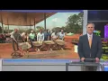 Arby s Love s hiring 50 workers in George County
