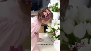 كوتي امور كوتي شطور 