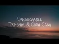 Download Lagu Cash Cash \u0026 Tritonal - Untouchable (Lyrics)