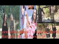Lagu Viral video/Gaok2 singer aro Nenen Rangsha Na.ara banoni git.