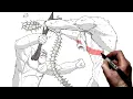 How To Draw Kong vs Skar King Step By Step G x K New Empire