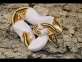 The Fire Gene s influence in Pieds