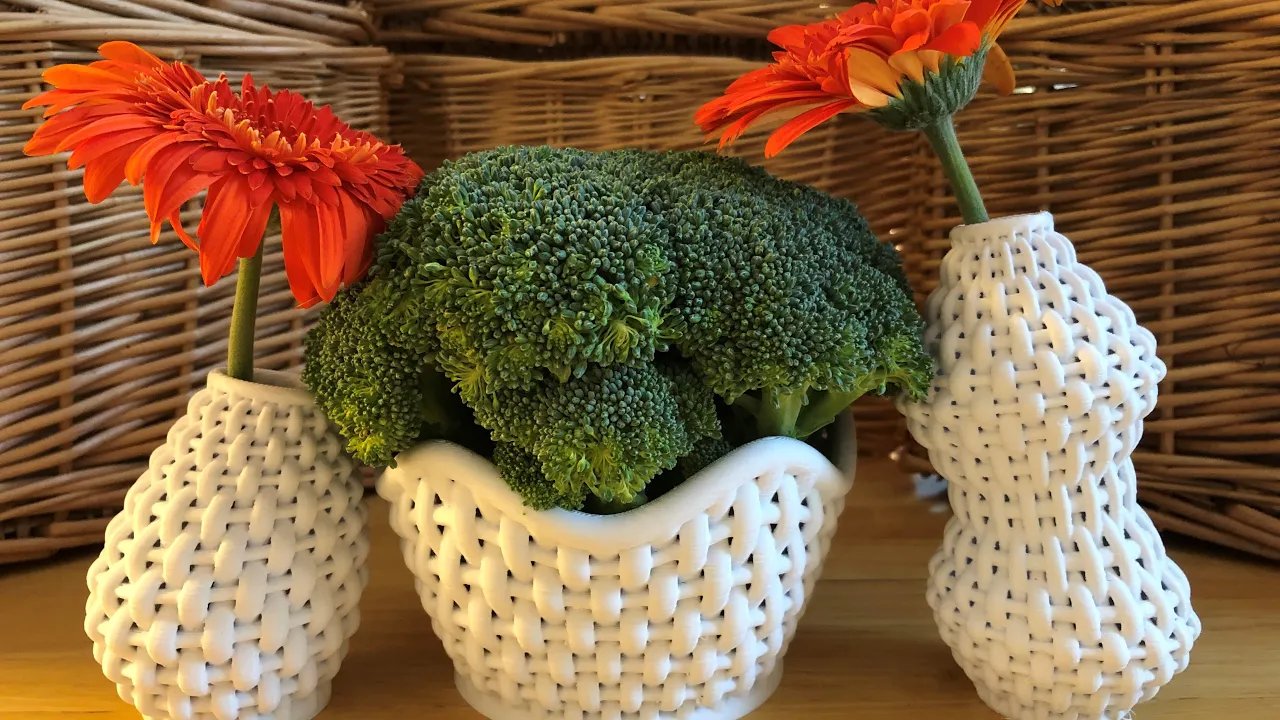 Wacky Wicker Gerbera Bubble 2