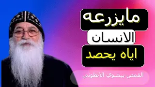 ما يزرعه الانسان اياه يحصد القمص بيشوي الانطوني 