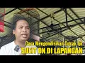 Download Lagu MUDAH BANGET..!!! CARA MENGONDISIKAN CUCAK IJO DI GANTANGAN AGAR CEPAT ON