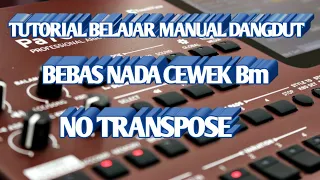 Download Tutorial belajar manual dangdut Lagu BEBAS MP3