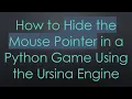 How to Hide the Mouse Pointer in a Python Game Using the Ursina Engine