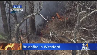 Brush fire burns in Westford